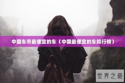 ​中国车市最便宜的车（中国最便宜的车排行榜）