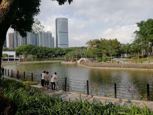 深圳中山公园好玩吗?项目是怎样收费的?？深圳中山公园好玩吗多少钱-第1张图片-