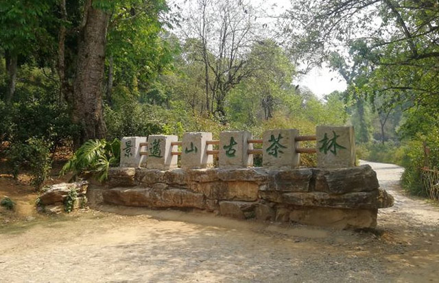 西双版纳旅游攻略 西双版纳十大景点排行榜
