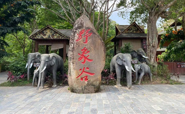 西双版纳旅游攻略 西双版纳十大景点排行榜