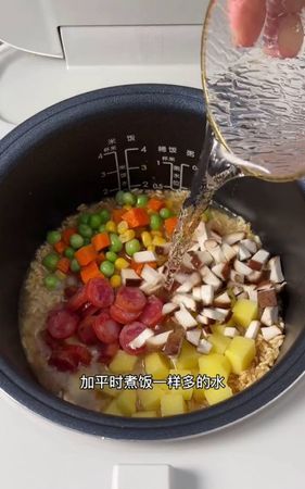 米饭大概蒸多长时间就熟了
