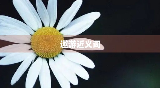 遨游近义词