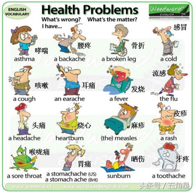 英语单词卡片简单又漂亮（30张英语单词卡片有多实用）(29)
