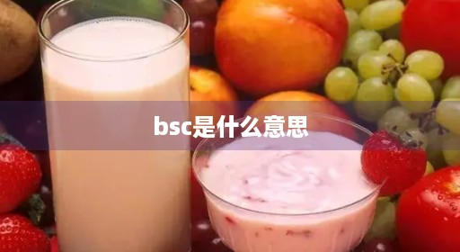 bsc是什么意思