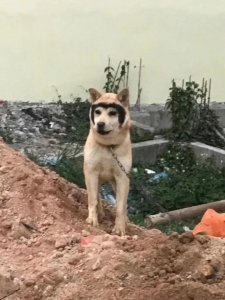 ​如何让一对情侣快速分手，一人说一个快速分手小技巧
