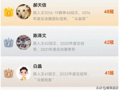 ​路人王冠军数排行榜，头盔哥48冠，军哥7冠。