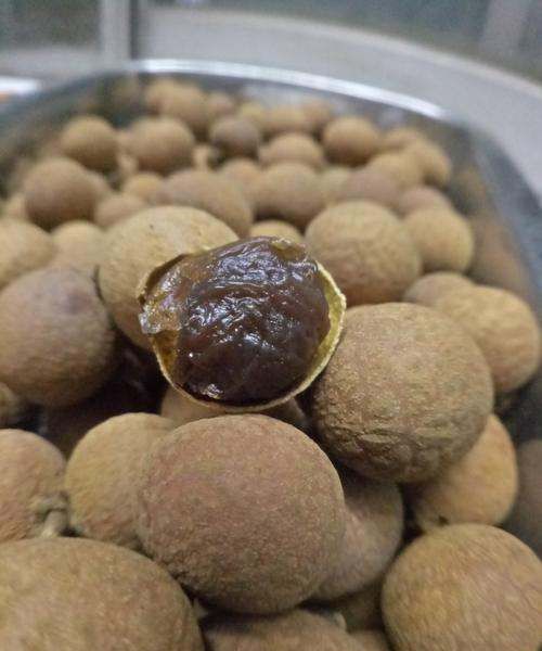 龙眼干怎么晒不会坏,晒龙眼干可以直接晒的吗图5