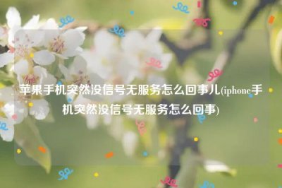 ​苹果手机突然没信号无服务怎么回事儿(iphone手机突然没信号无服务怎么回事)