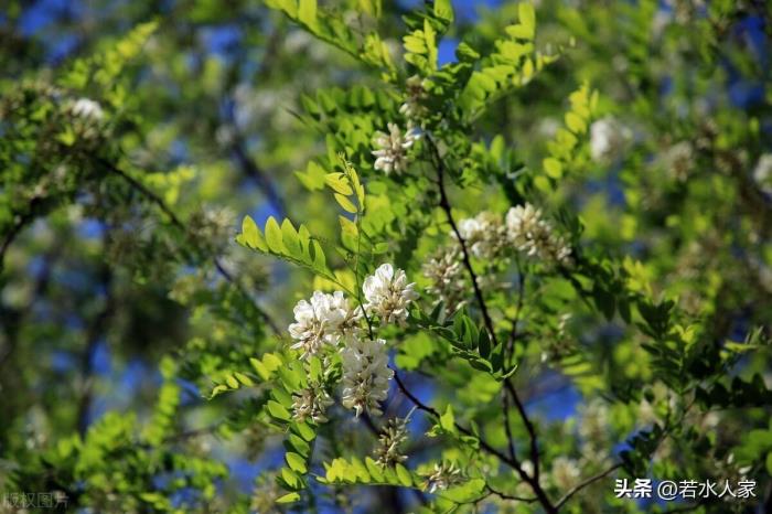 两口子经常吵架想离婚（一对恩爱夫妻从吵架到离婚）