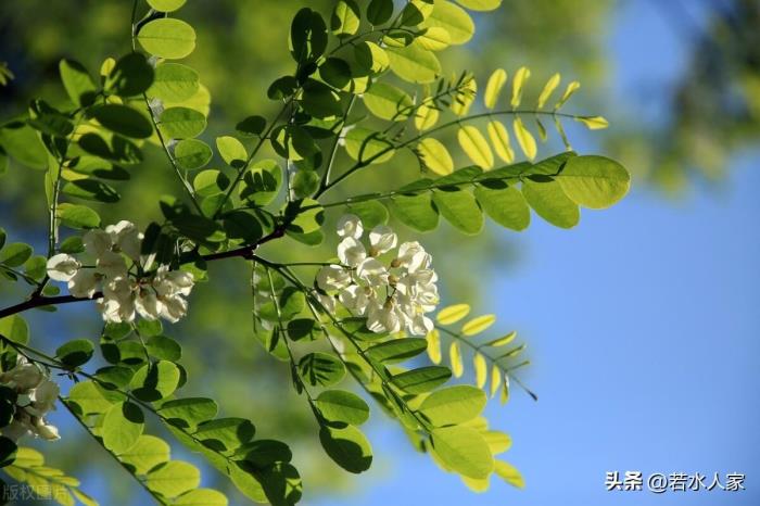 两口子经常吵架想离婚（一对恩爱夫妻从吵架到离婚）