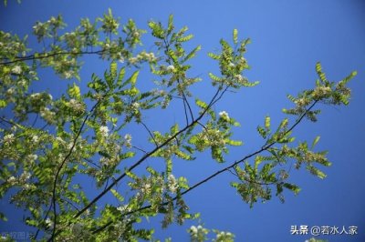 ​两口子经常吵架想离婚（一对恩爱夫妻从吵架到离婚）