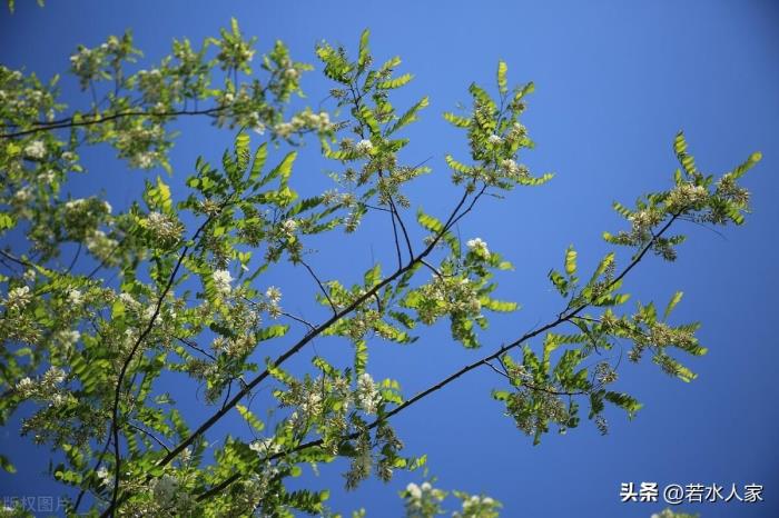 两口子经常吵架想离婚（一对恩爱夫妻从吵架到离婚）