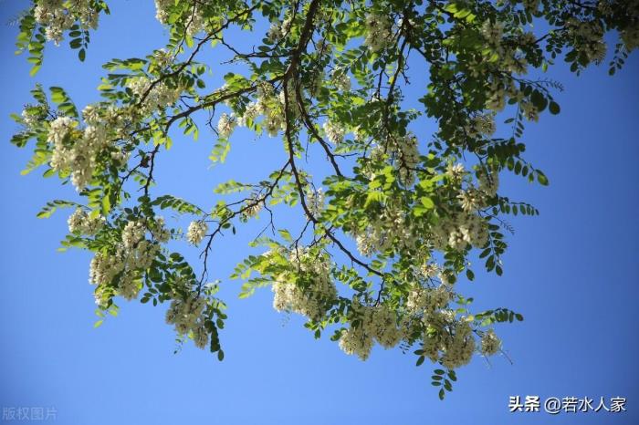 两口子经常吵架想离婚（一对恩爱夫妻从吵架到离婚）