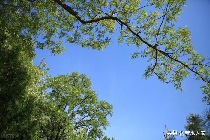 两口子经常吵架想离婚（一对恩爱夫妻从吵架到离婚）