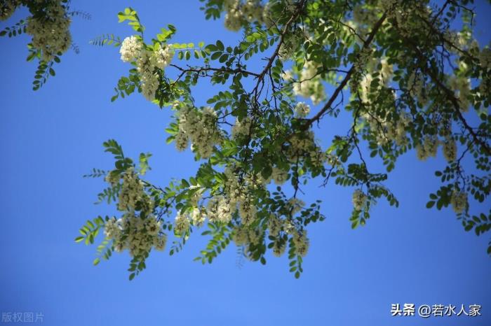 两口子经常吵架想离婚（一对恩爱夫妻从吵架到离婚）