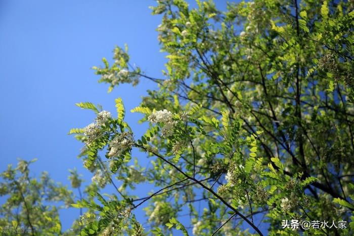 两口子经常吵架想离婚（一对恩爱夫妻从吵架到离婚）