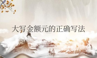 ​大写金额元的正确写法图片