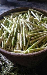 ​新鲜的笋尖能保存多久,新鲜笋尖怎么保存的时间久一些