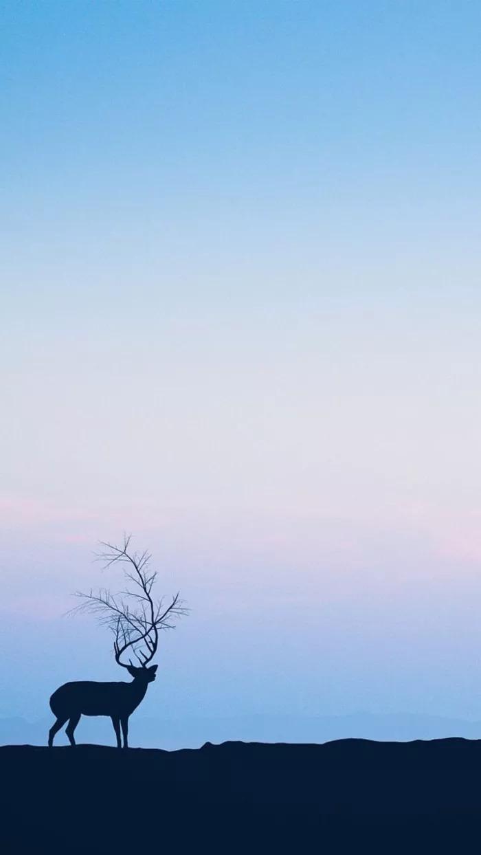 壁纸|这么炫酷的锁屏壁纸确定不换一张?