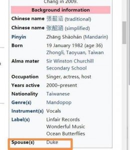 张韶涵结婚了吗(同神秘男友为何九年还不结婚)