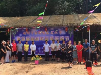 7月15日,插树岭蓝莓采摘园将盛大开园!