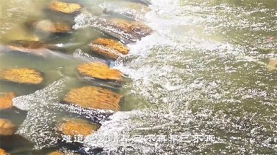 ​《冬雨》优美的旋律和深情的歌词 让人陶醉 清澈的嗓音 深入人心