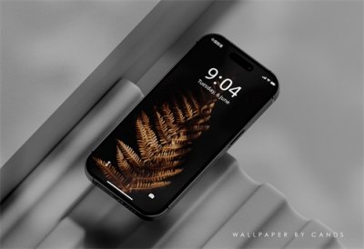 壁纸推荐 - 黑暗中的那一道光