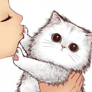 无水印头像|酷酷的猫咪头像系列二