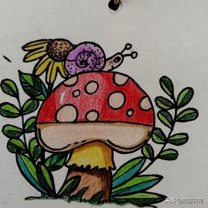 ​我想做个采蘑菇的小姑娘——简笔画蘑菇彩铅练习