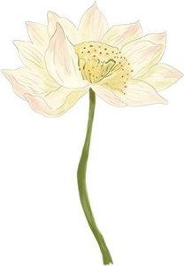 ​关于暂停办理户籍业务的通告