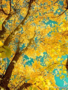 ​民主生活会（组织生活会）谈心谈话记录，供参考