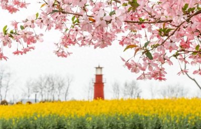 ​36句舒畅快意的古诗词，读完一半，心里轻松多了