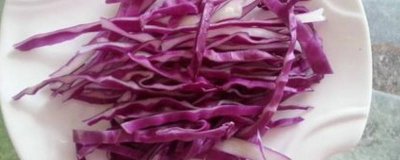 ​紫甘蓝不能与什么一起吃 紫甘蓝与什么食物相克