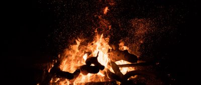 ​飞蛾为什么要扑火