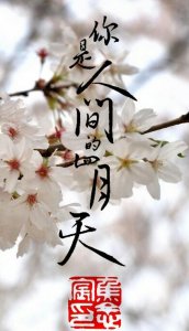 ​最美人间四月天全诗（最美人间四月天全诗介绍）