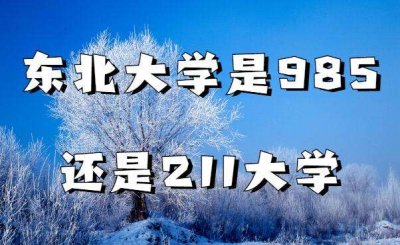 ​东北大学是985还是211（东北大学排名全国第几）