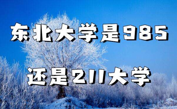 东北大学是985还是211,东北大学排名全国第几