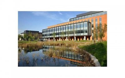 ​女生以为稳操胜券，为何被大龄剩男1招就满盘皆输？