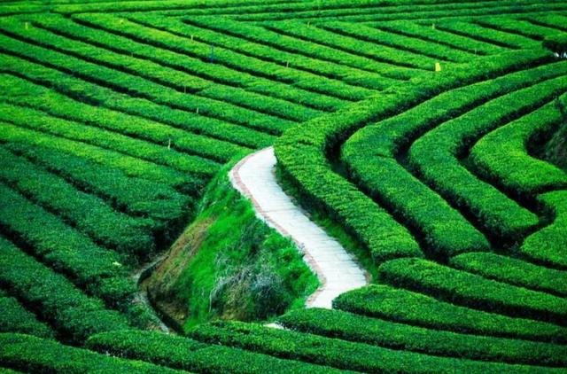 国家现在对农村扶持什么项目(7个农村项目是官方扶持方向)(4)