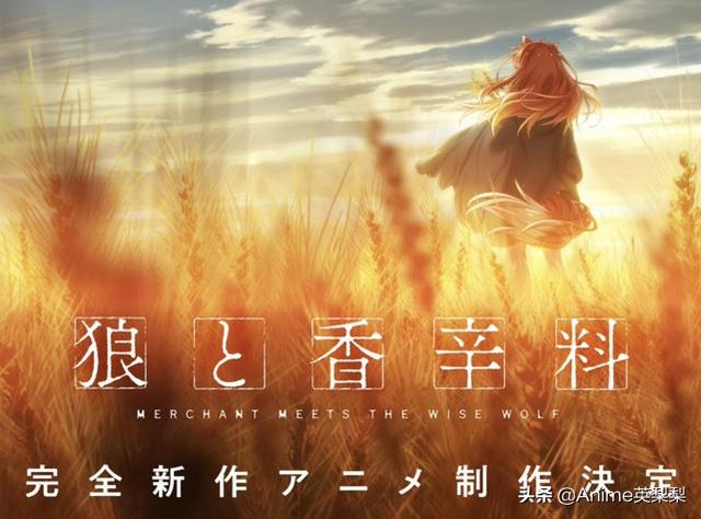 从认真玩游戏开始崛起动漫（只要观众活得够久）(4)