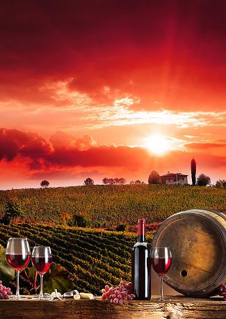 贵州茅台玛咖酒黄玛咖