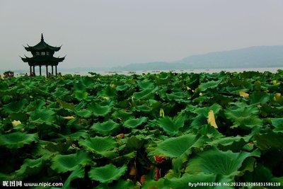 晓出净慈寺送林子方古诗意思（晓出净慈寺送林子方赏析）(1)