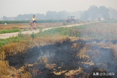 ​焚烧秸秆到底有什么危害呢