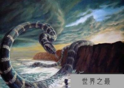 ​世界上最大的蛇是什么蛇