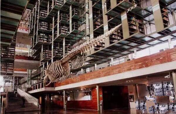 全球10大最美的图书馆，北京篱苑书屋第三，仿佛置身天堂升华灵魂