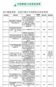 ​300亿的市政项目，中冶赛迪牵头拿下！