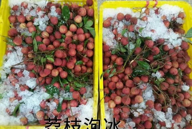 冬天冰袋放泡沫箱48小时可以吗