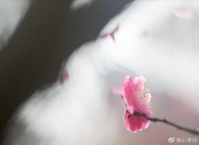 ​情侣之间分手时，女方越这样说，男人越舍不得你