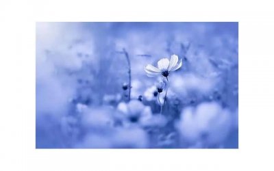 ​男人和女人交往真正的目的是什么，你知道吗？