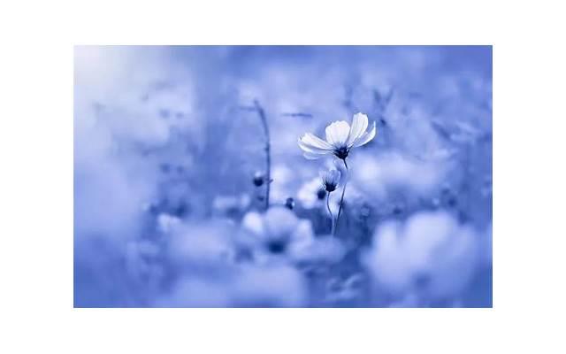 男人和女人交往真正的目的是什么，你知道吗？